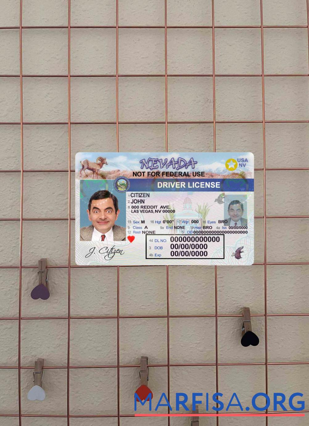 Printable USA Nevada DL photolook download for verification